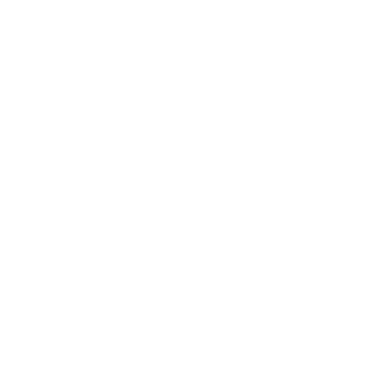 Boca Citizens Alliance seal